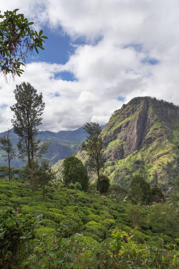 Goverment Lorem Ipsum Sit Amet Consectetur dipisi?